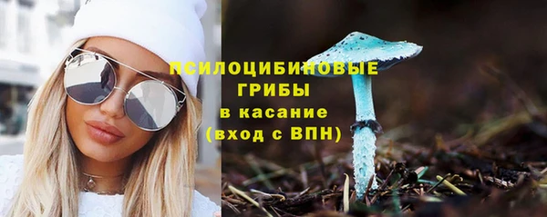 молекула духа Навашино