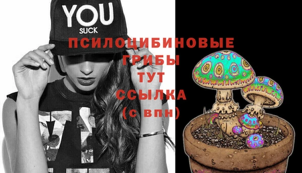молекула духа Навашино