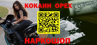 молекула духа Кингисепп