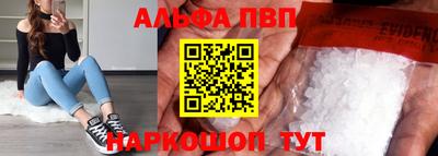 молекула духа Кингисепп