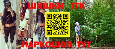 молекула духа Кингисепп