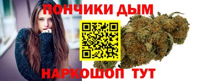 молекула духа Кингисепп
