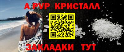 молекула духа Кингисепп