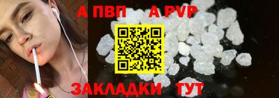 молекула духа Кингисепп