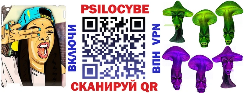 дарк нет официальный сайт  купить   Нефтекумск  Псилоцибиновые грибы Psilocybine cubensis 