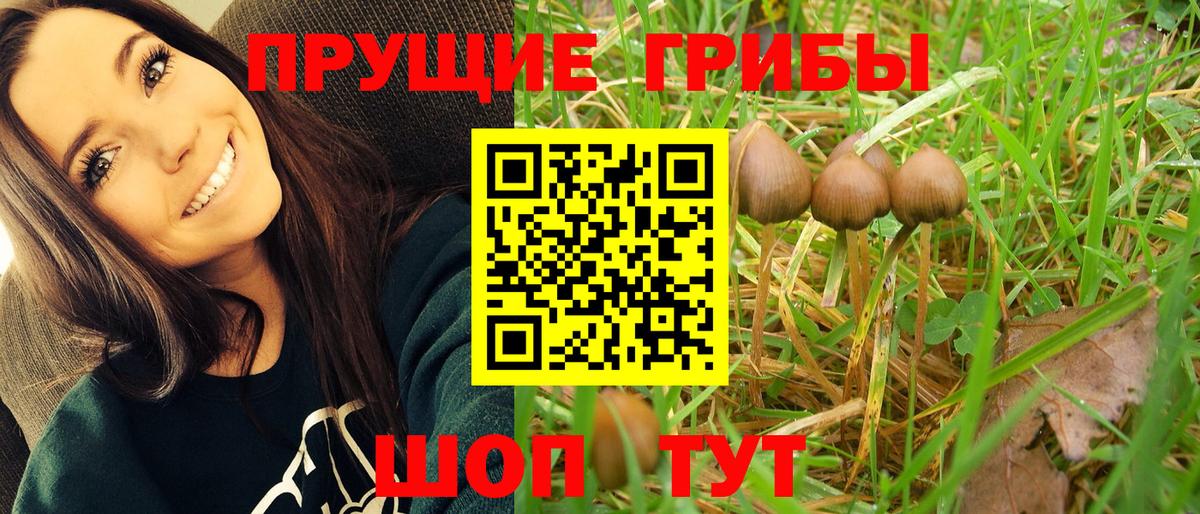 Нефтекумск  Псилоцибиновые грибы MAGIC MUSHROOMS  Вход с VPN 